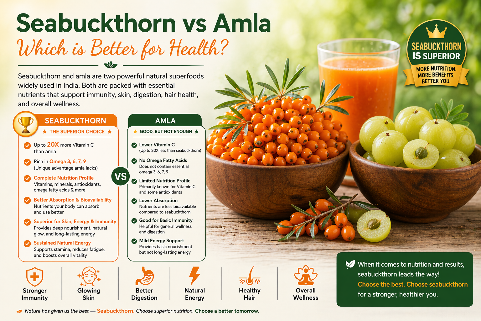 Seabuckthorn vs Amla: Which is Better for Health?